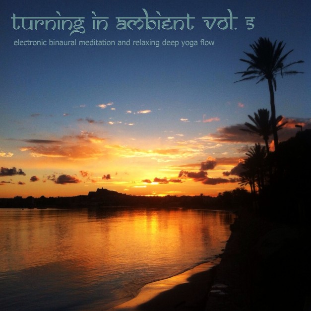 Turning In Ambient, Vol. 5