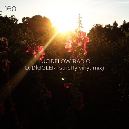 Lucidflow Radio 160: D. Diggler (strictly vinyl dj mix)