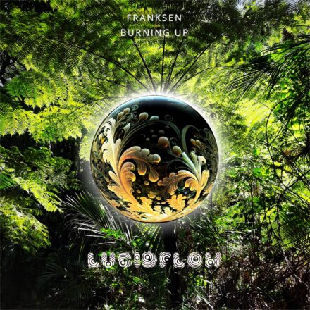 Franksen – Burning Up – Lucidflow LF299 (Oct 13 Beatport)