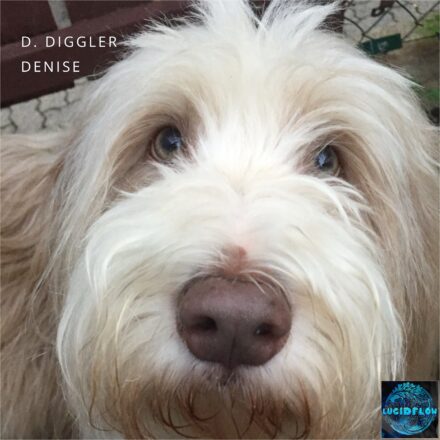 LF347 D. Diggler – Denise 30.5. beatport exclusive, 30.6. All Stores